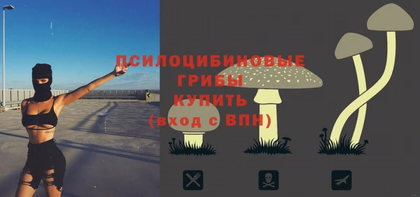 ALPHA PVP Алексин