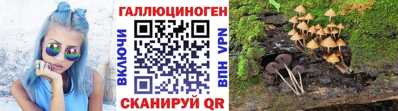 Галлюциногенные грибы ЛСД  KRAKEN ссылки  Дудинка 